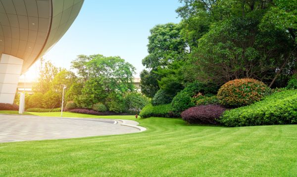 Commercial Shrub Trimming in Port Orchard