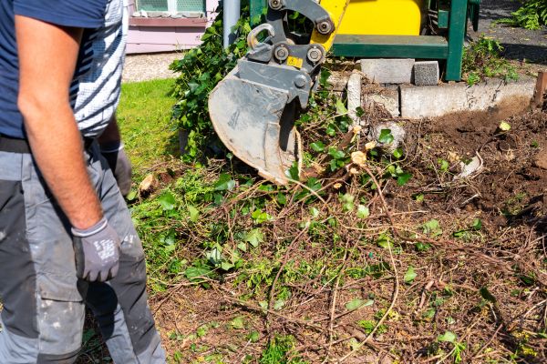 Hedge Removal Service in Port Orchard
