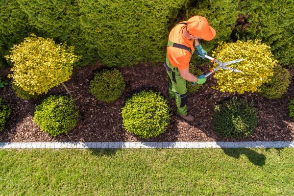 Cost of Topiary Trimming in Port Orchard