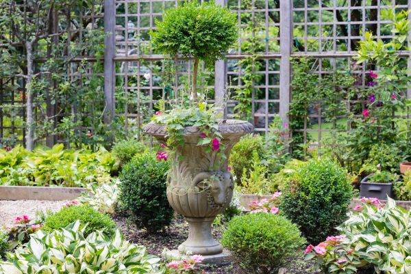 Cost of Topiary Pruning in Port Orchard