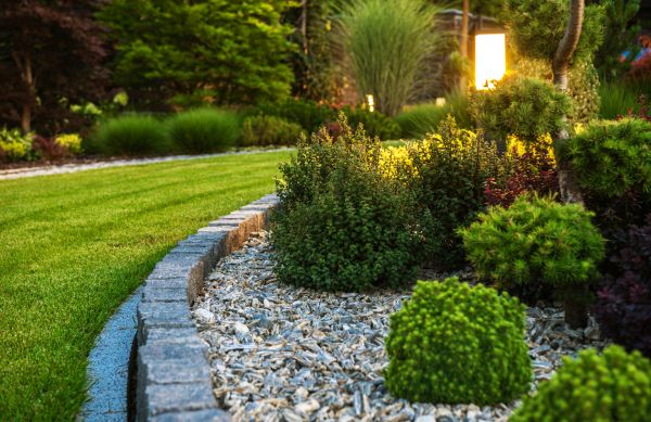 Cost of Bush Relocation in Port Orchard