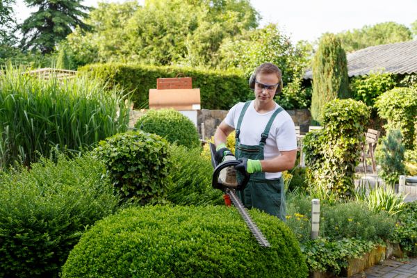 Shrubs Trimming in Port Orchard