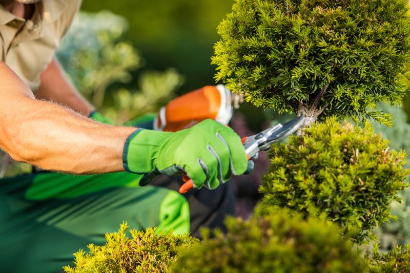 Customer Satisfaction with Shrub Care